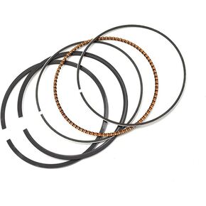 Nunc congue dui nec...