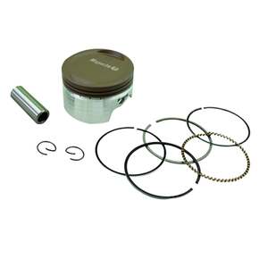 Nunc congue dui nec...