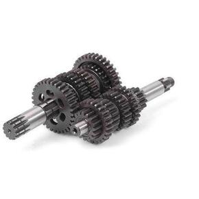 Nunc congue dui nec...