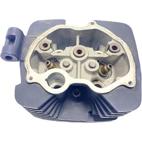 Nunc congue dui nec...