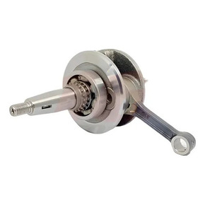 Nunc congue dui nec...