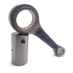 Nunc congue dui nec...