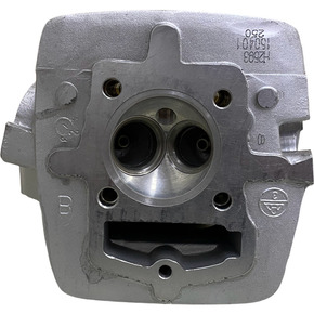 Nunc congue dui nec...