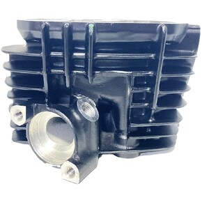 Nunc congue dui nec...