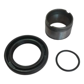 Nunc congue dui nec...