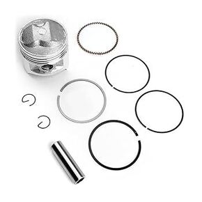 Nunc congue dui nec...