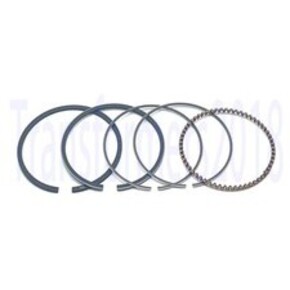 Nunc congue dui nec...