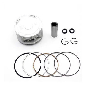 Nunc congue dui nec...