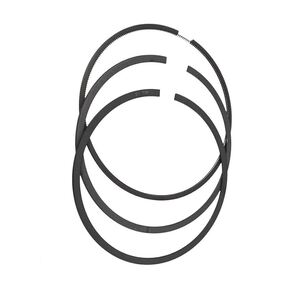 Nunc congue dui nec...