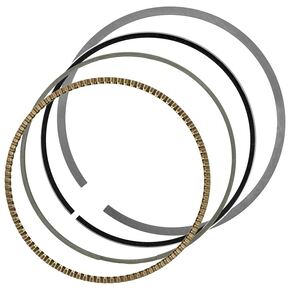 Nunc congue dui nec...