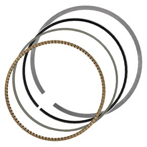 Nunc congue dui nec...