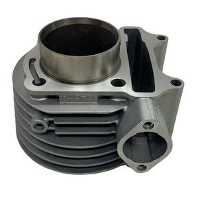 Nunc congue dui nec...