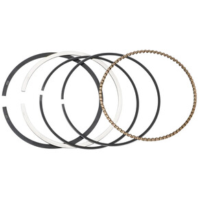 Nunc congue dui nec...