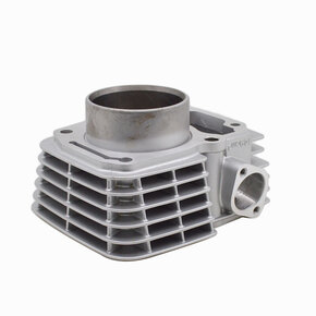 Nunc congue dui nec...