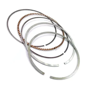 Nunc congue dui nec...