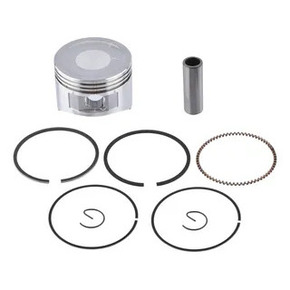 Nunc congue dui nec...